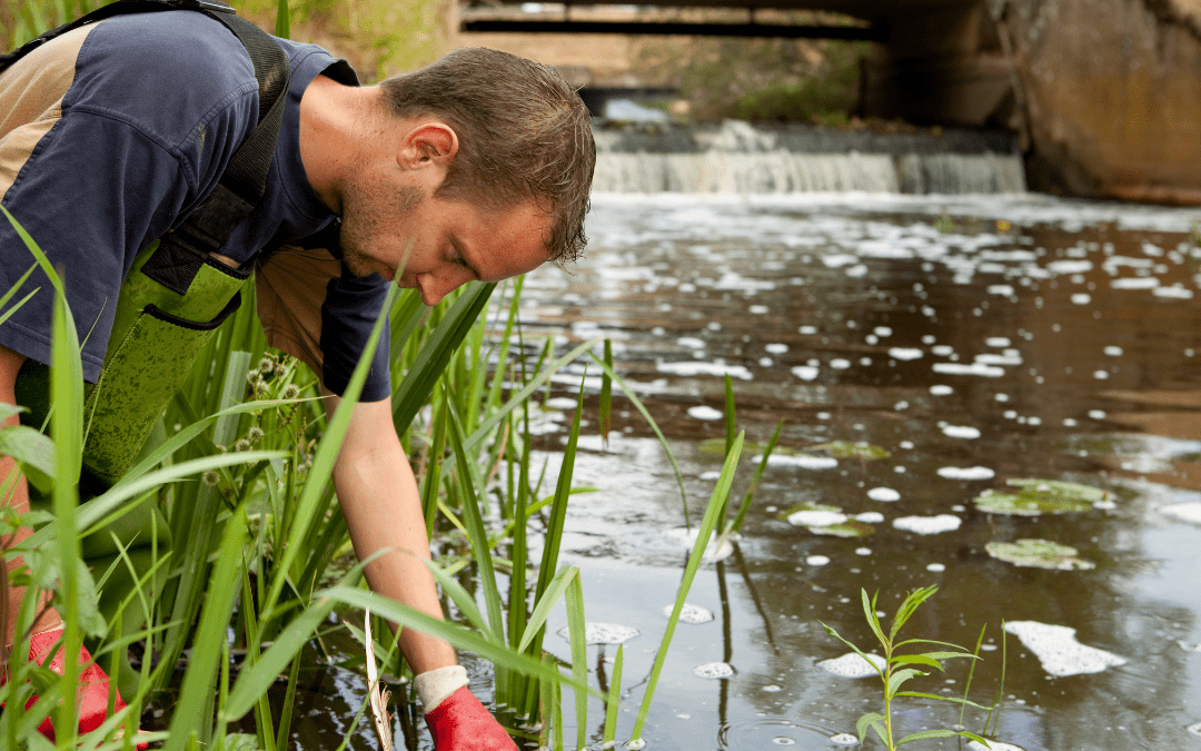 Embracing Sustainability with Multi-Sector Stormwater Audits