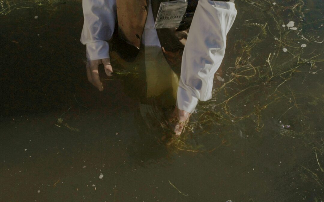 Environmental Compliance: An Overall Guide