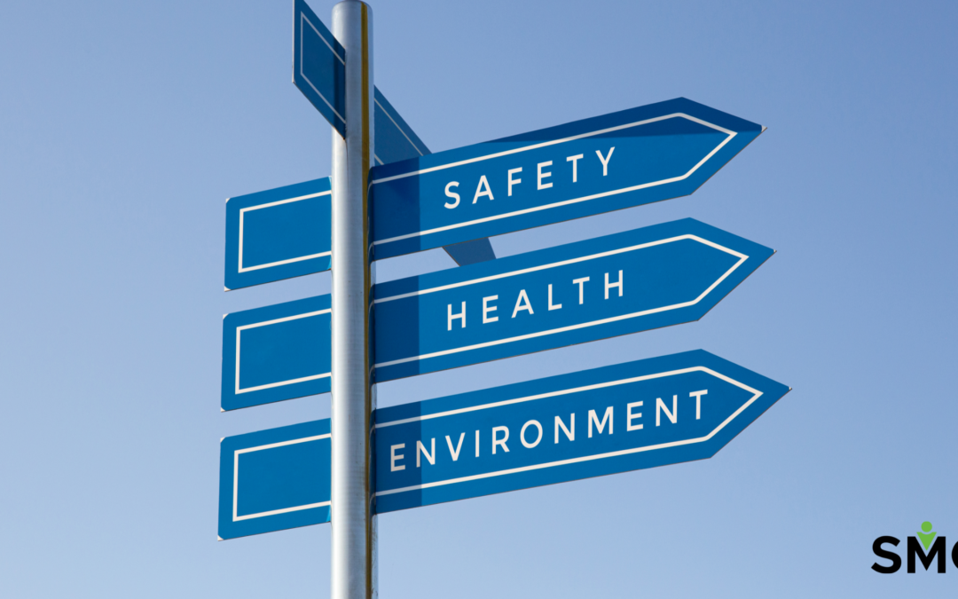 What Is HSE (Health, Safety, and Environment)?